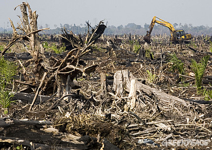 Humans destroying nature  Chanel Mace's Blog